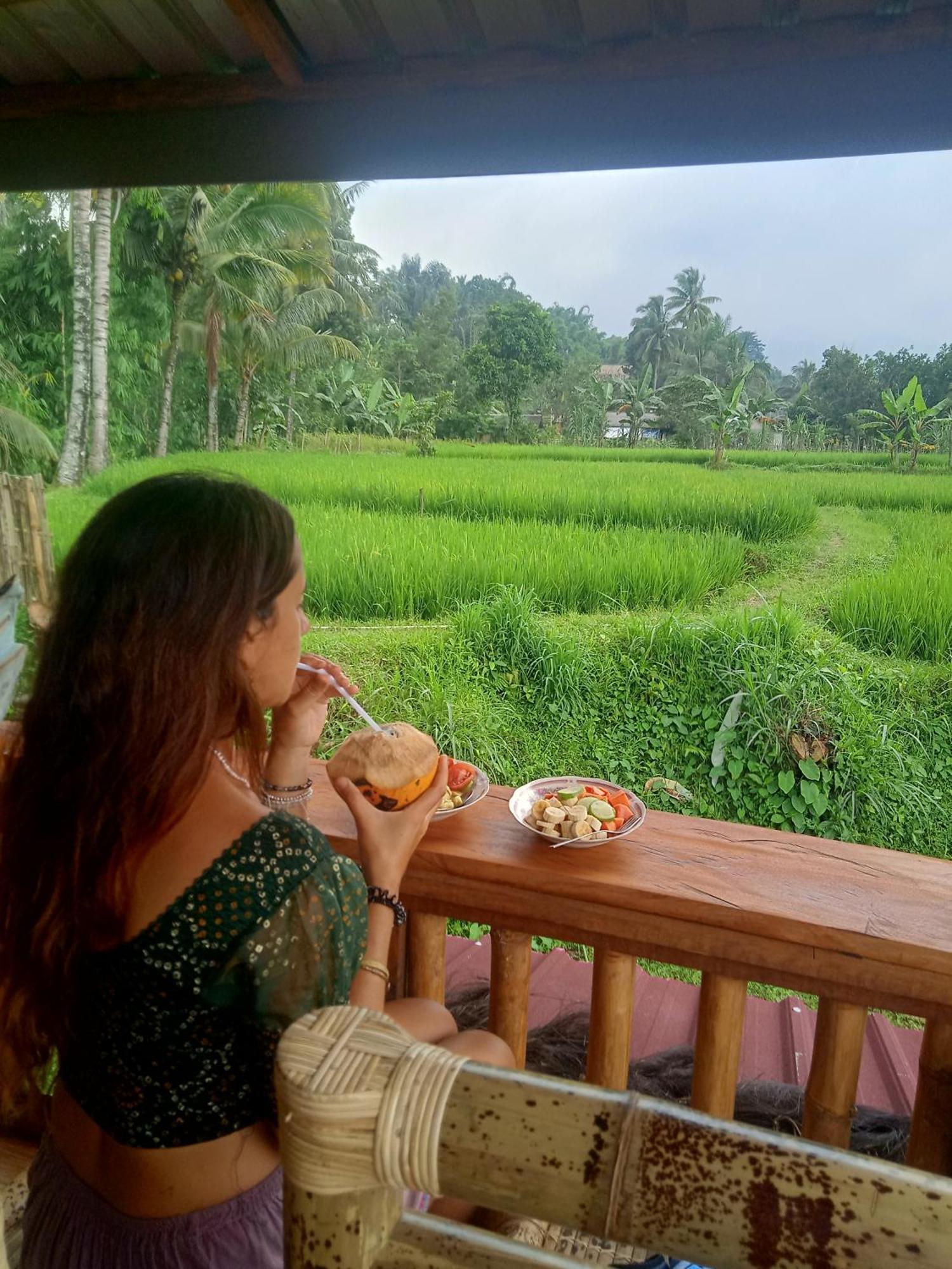 Coconut Homestay Tetebatu Exterior photo